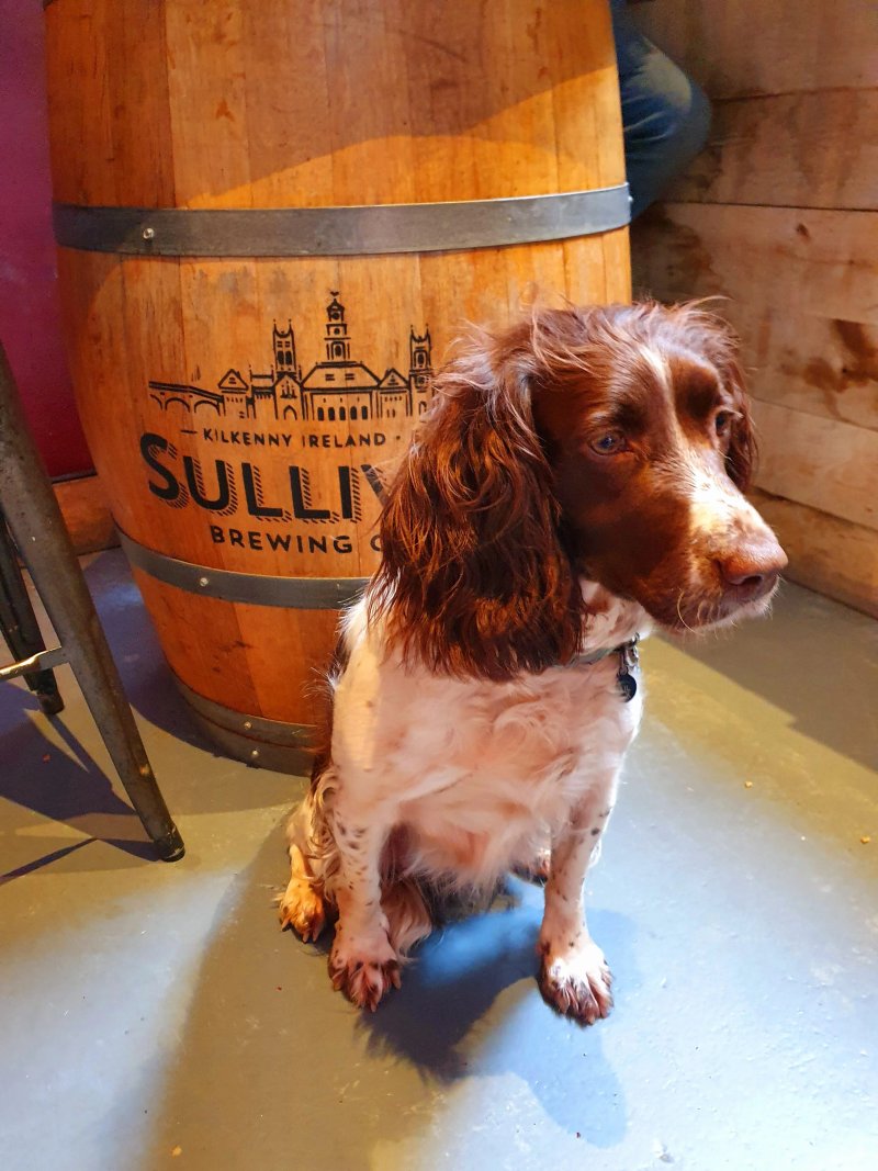 Sullivan's Taproom