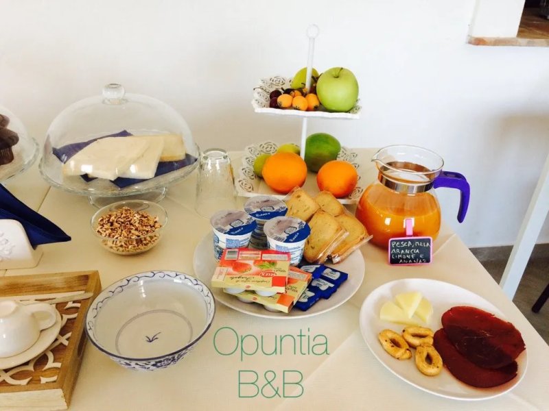 B&B Opuntia