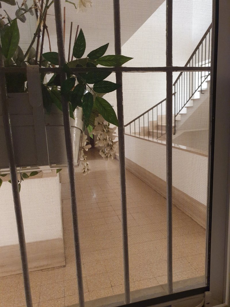 Museum Guest House