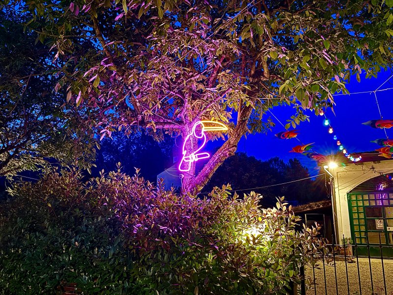 B&B La Borasca