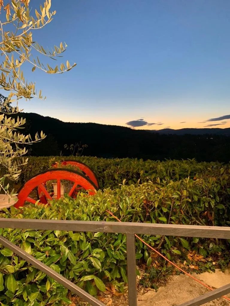 Vecchio Granaio