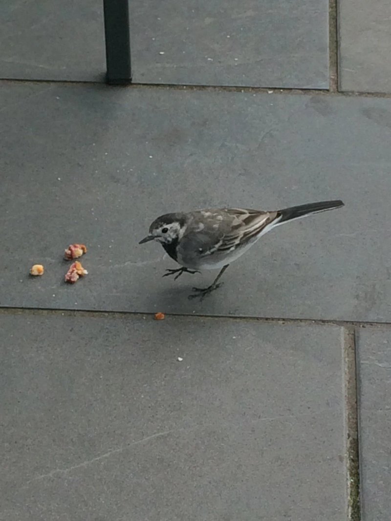 Marks and Spencer Cafe