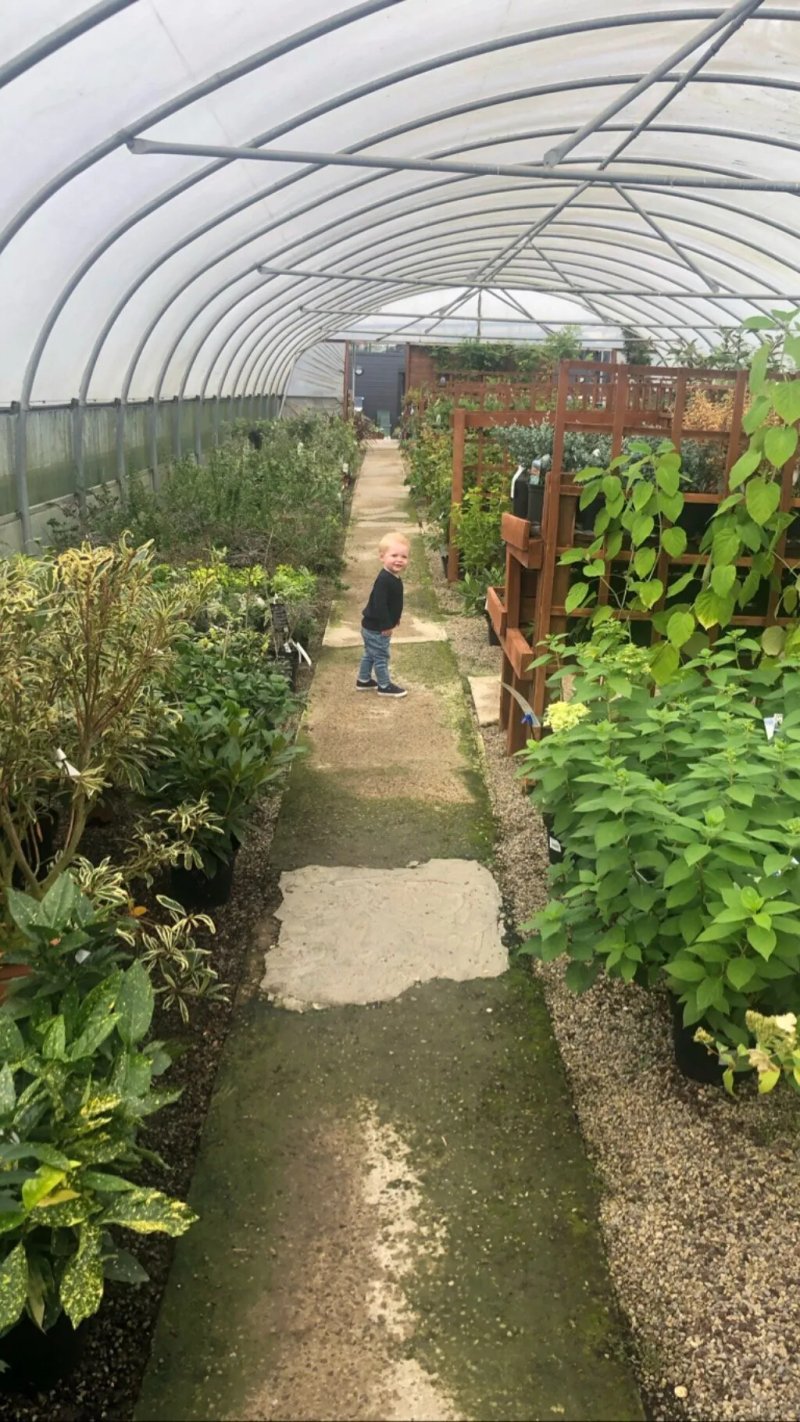 Whitegates Nursery