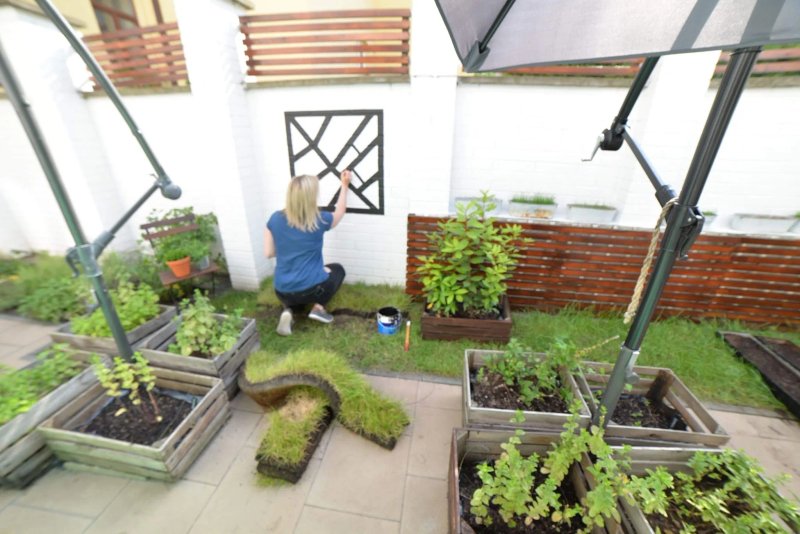 Garden Food Concept