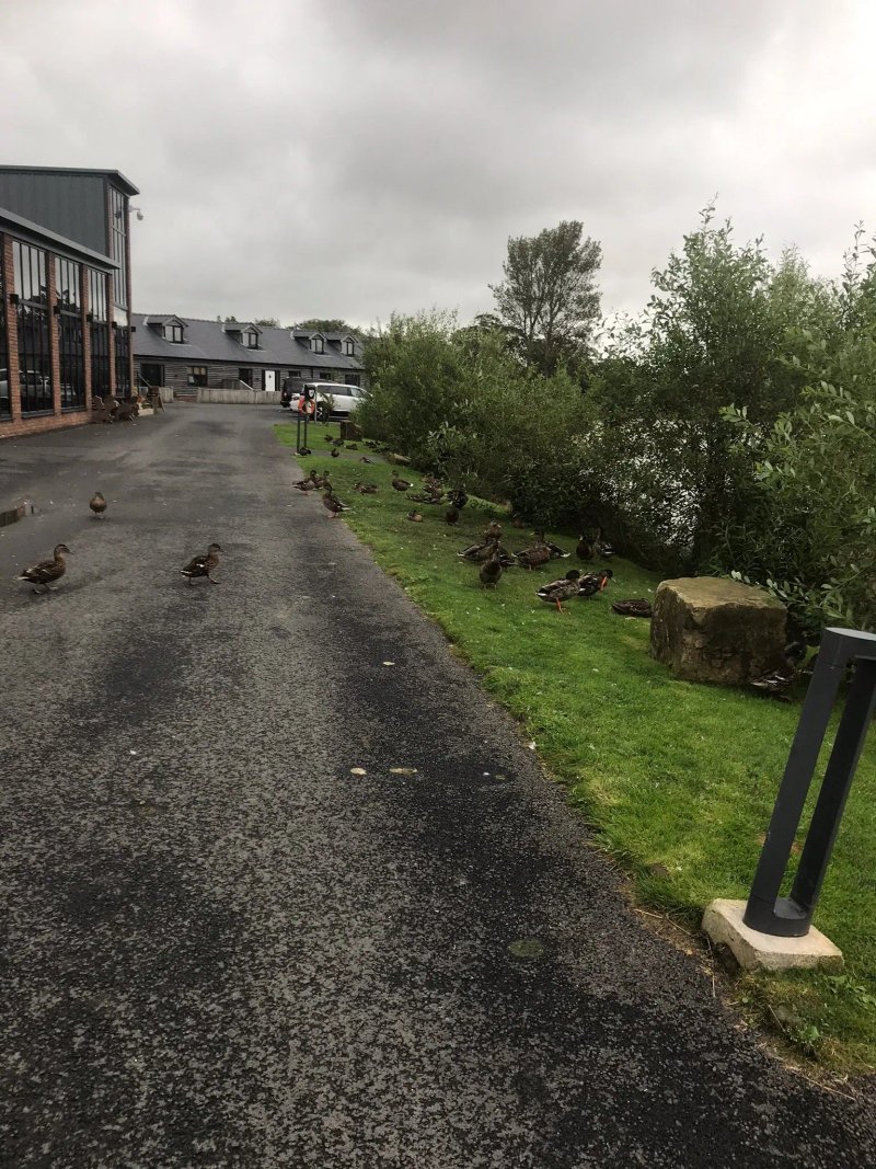 Brickhouse Farm Cottages
