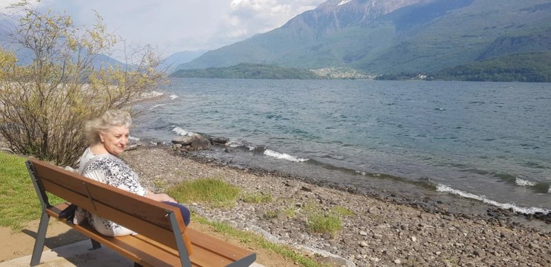 Orchidee del Lario