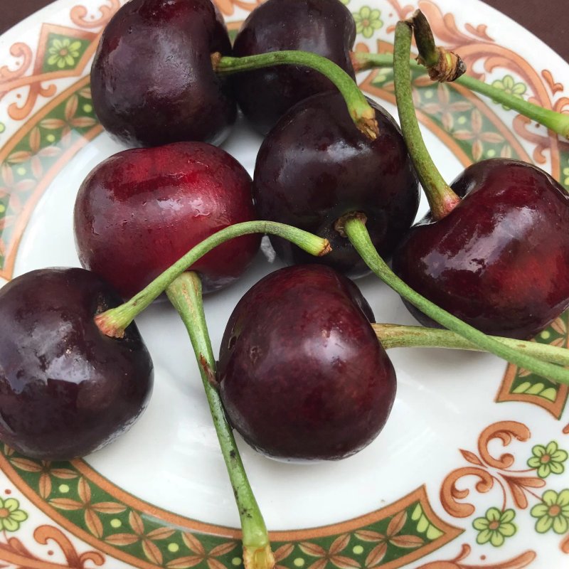 Mille Baci