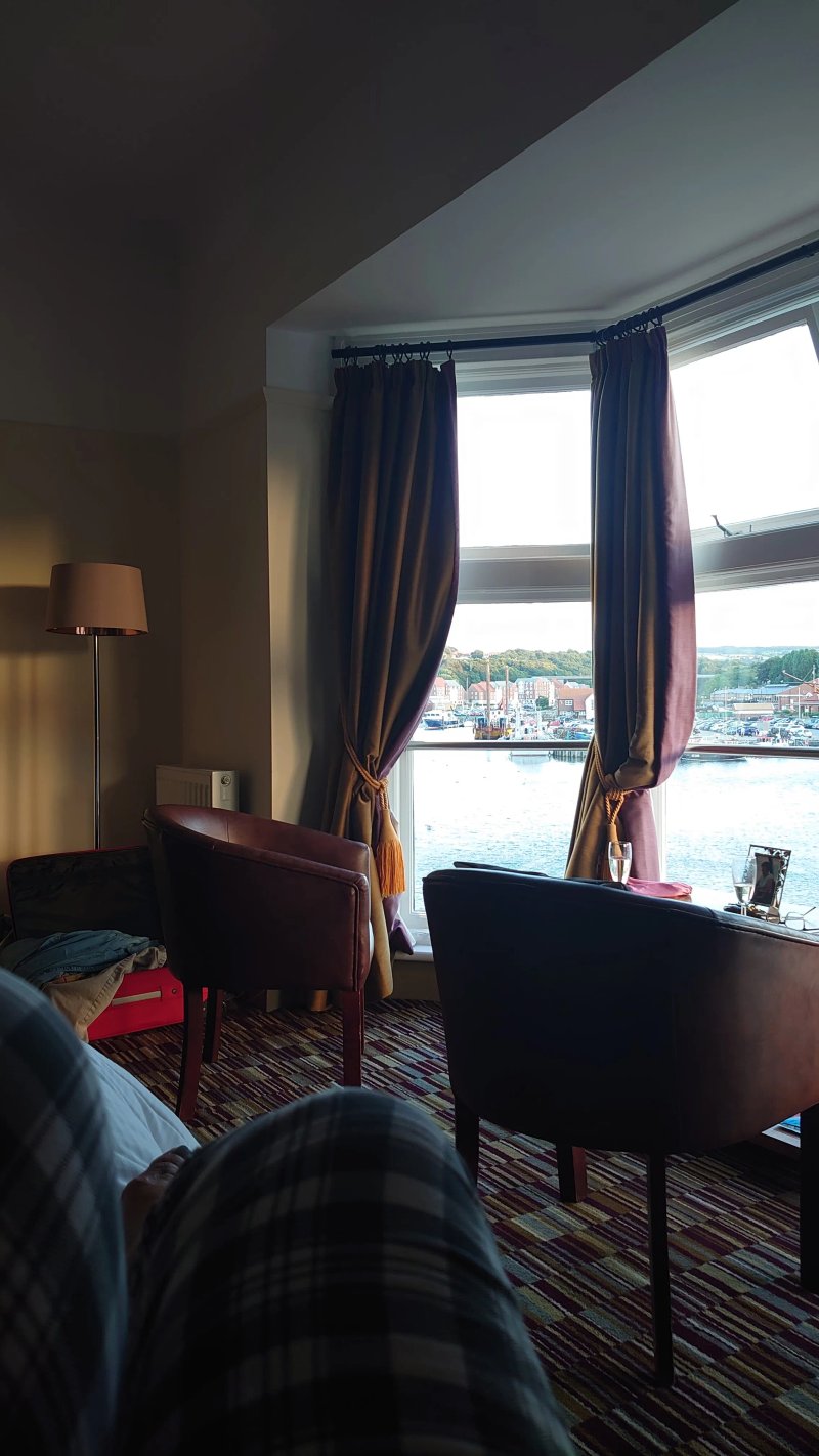 The Dolphin