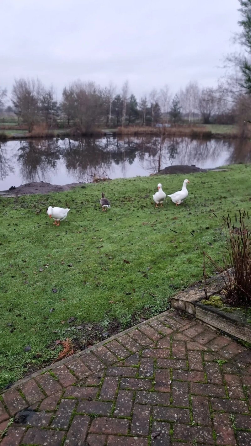 Fourways Country Park