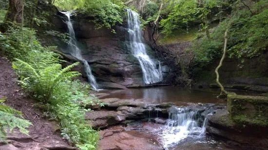 Pwll-y-wrach Nature Reserve