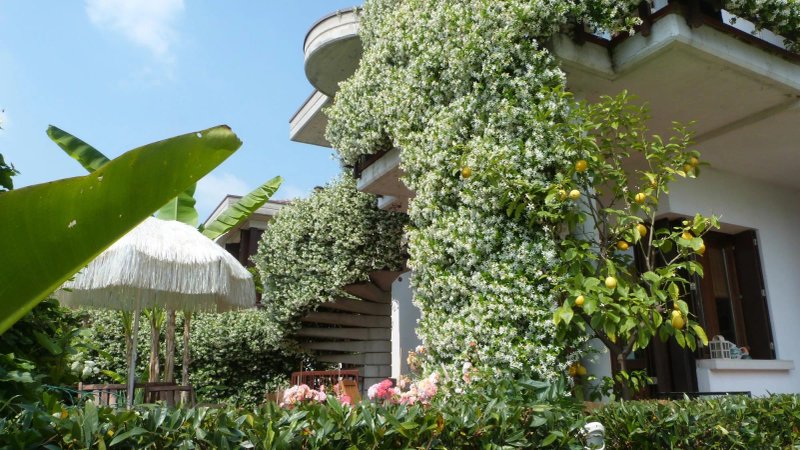 Nautilus Bed & Breakfast