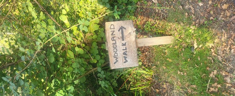 Whitefield Forest Touring Park