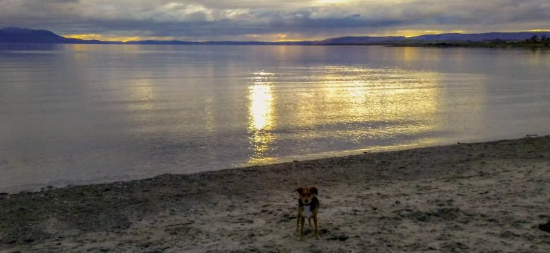 Ettrick Bay Tea Room
