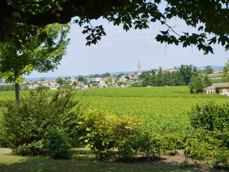 La Maison des Vignes