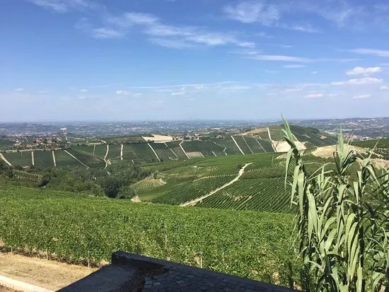 Azienda Agricola Pelissero
