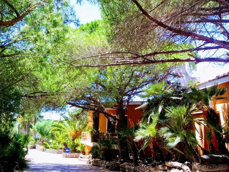 Campeggi Sardi Spiaggia La Salina Srl