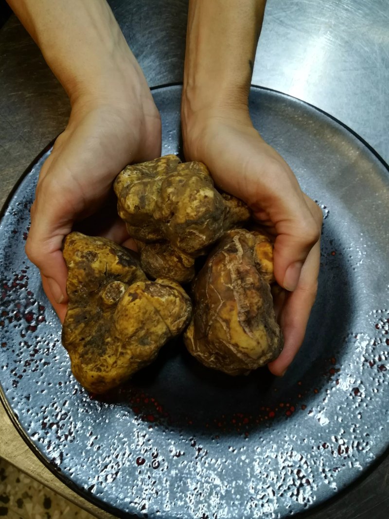 La Sella di Pitino