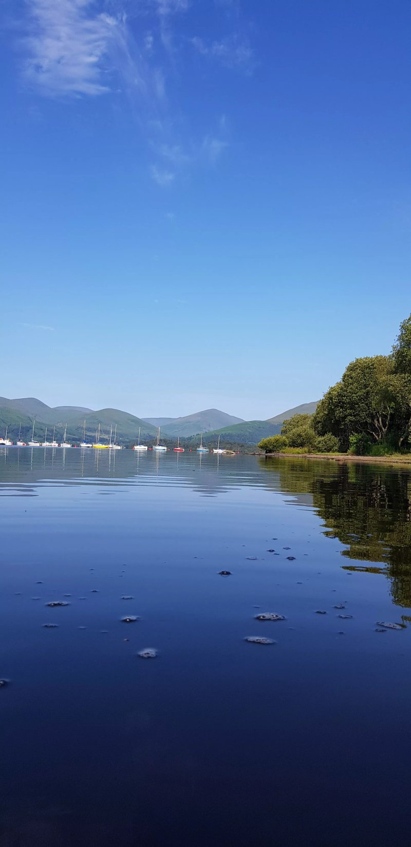 Milarrochy Bay Camping and Caravanning Club Site