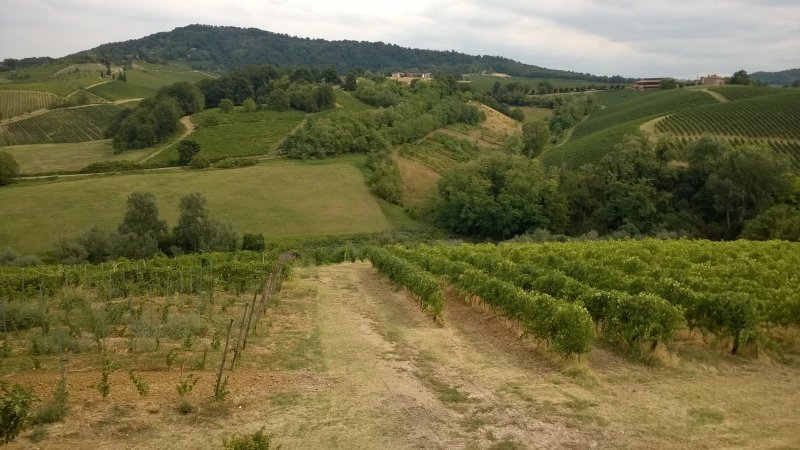 Cascina Angelina