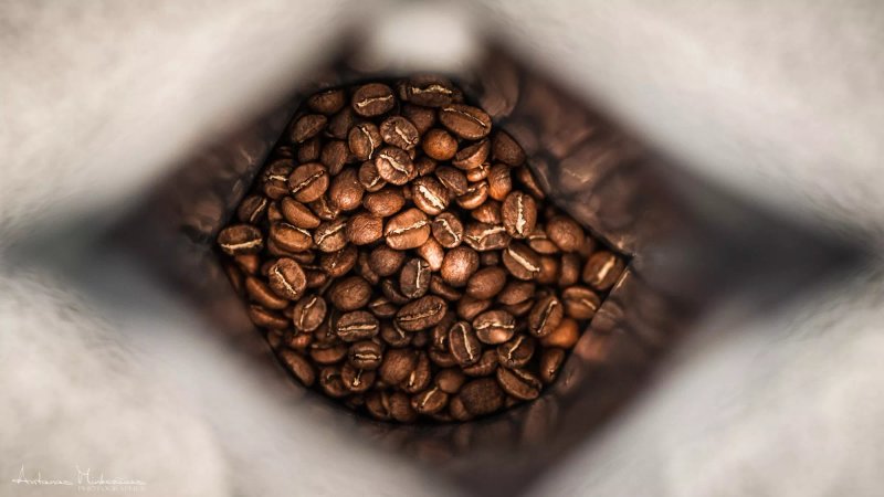StrangeLove Coffee Co.