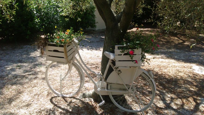 Agriturismo La Rondine