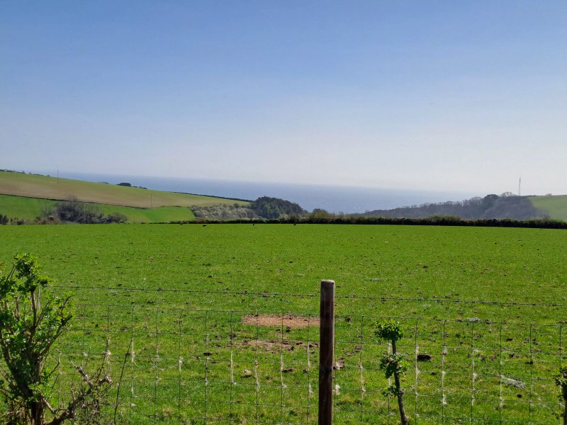 Great Kellow Farm