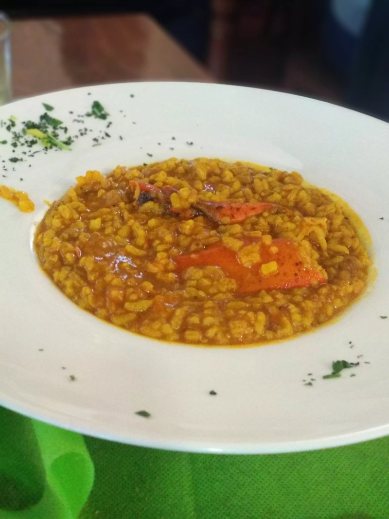 El Nuevo Virrey