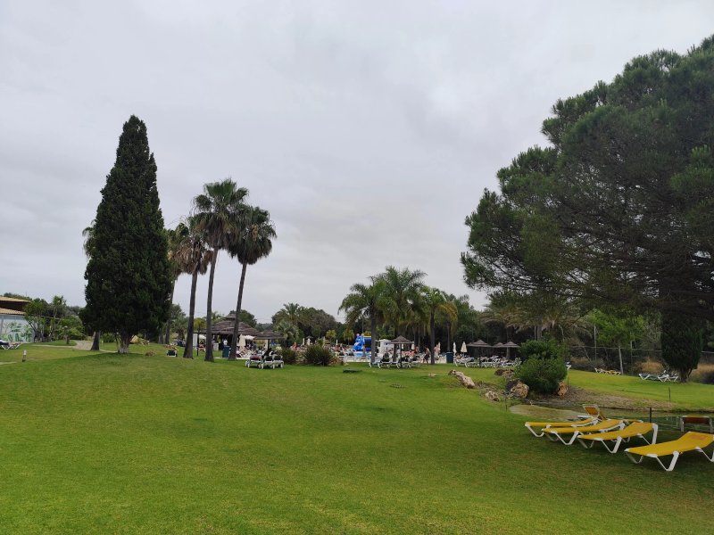 The Navigator - Palm Oasis Alvor