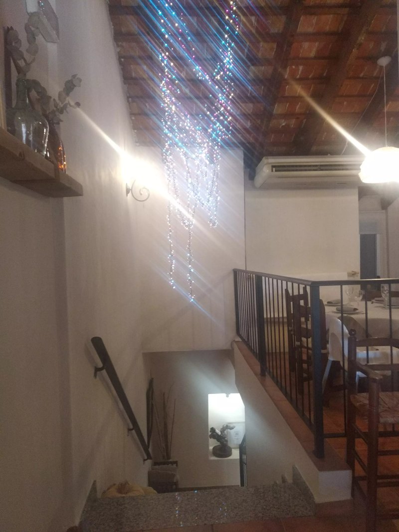 La Cambra dels Sentits