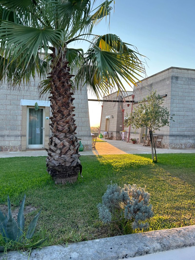 Masseria Petrusella
