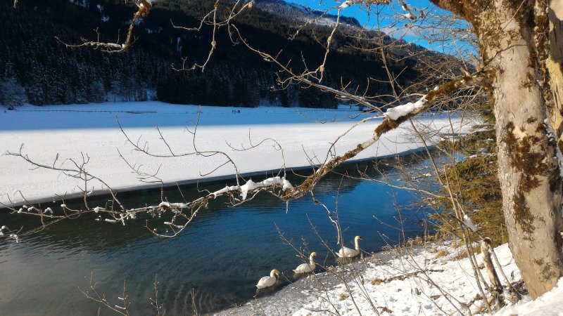 Gasthaus Jagersee