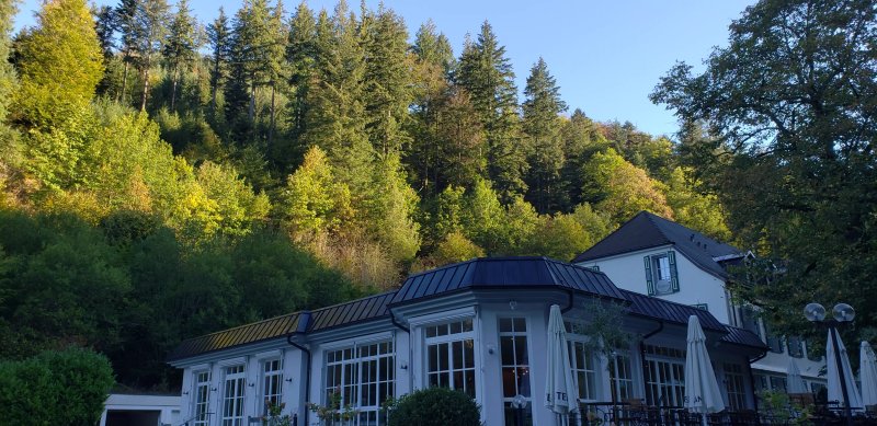 Waldhotel Bad Sulzburg