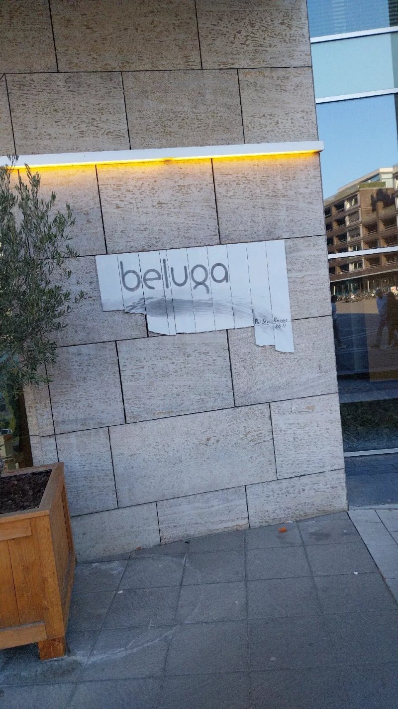 Beluga Loves You