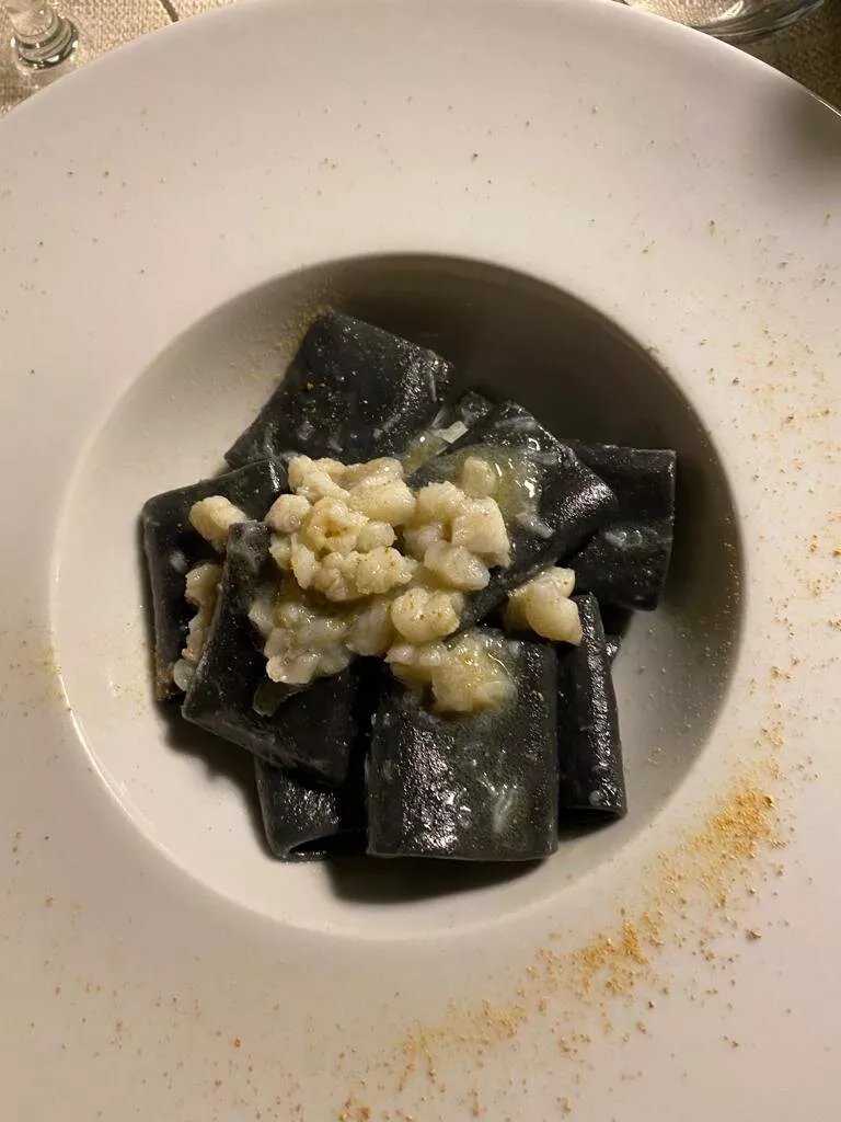 ArborVitae