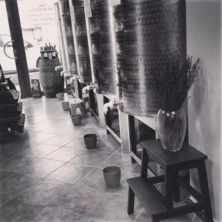 Cantina Michelotti