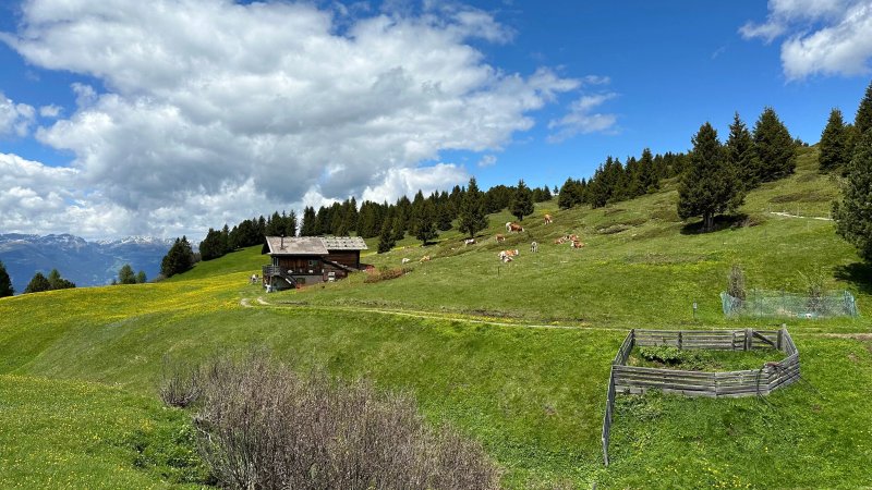 Hotel Ritsch, Seiser Alm