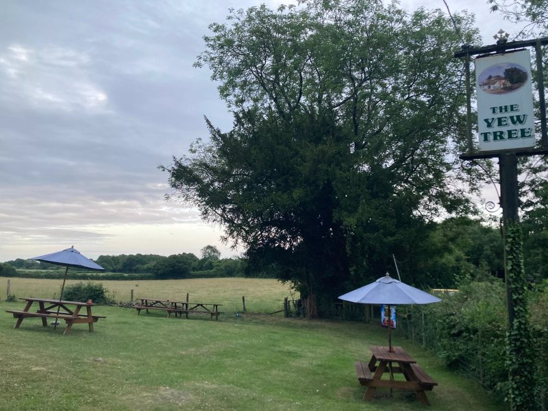 The Yew Tree