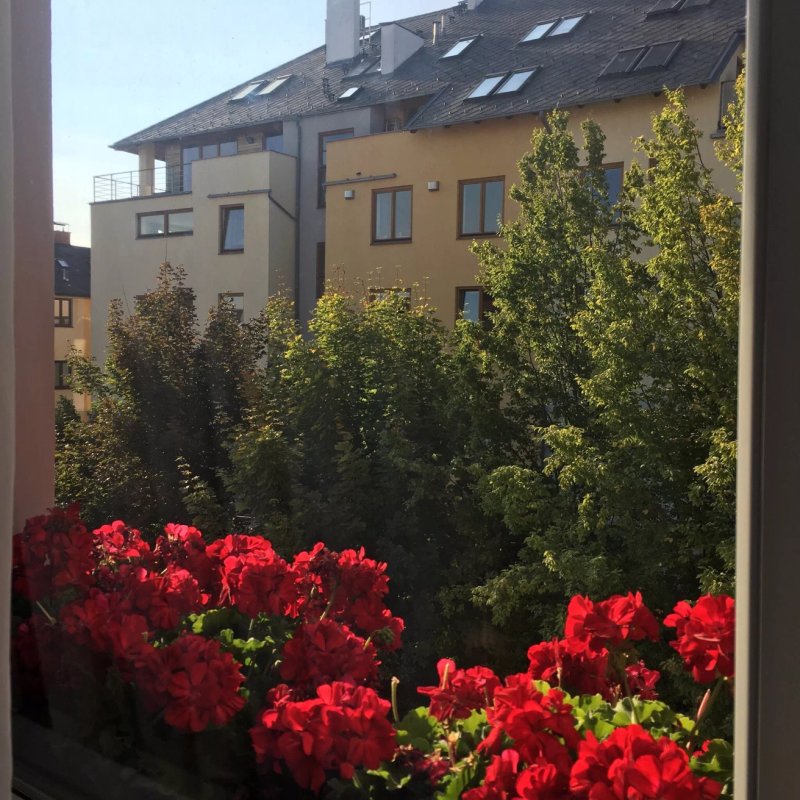 Hotel Wilhelm