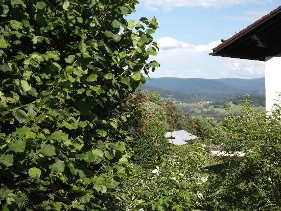 Zum Fliegenden Hollander