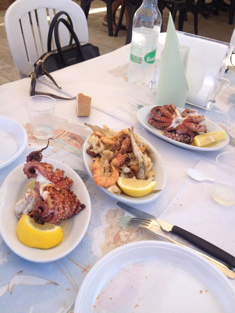 L'oasi del riccio