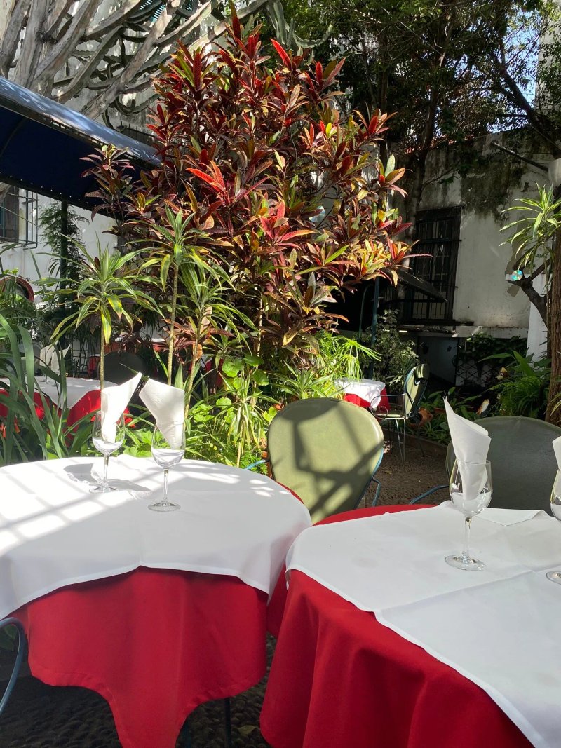 Jardim da Carreira