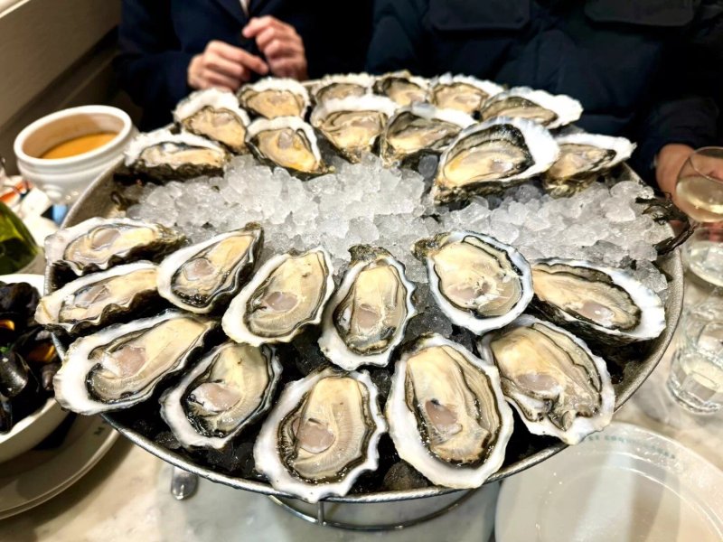Merle Huitres Et Coquillages