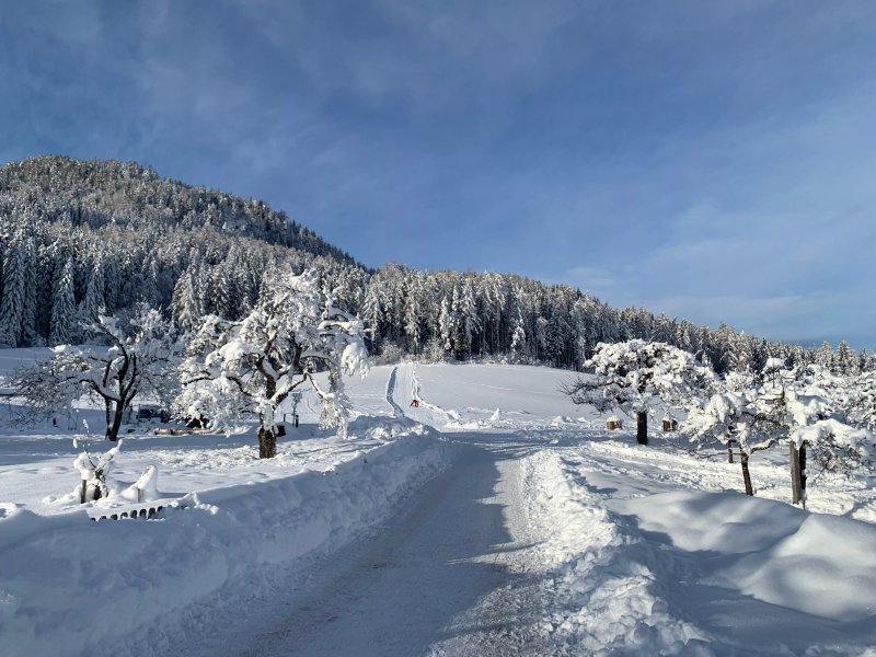 Familienhotel Kreuzwirt