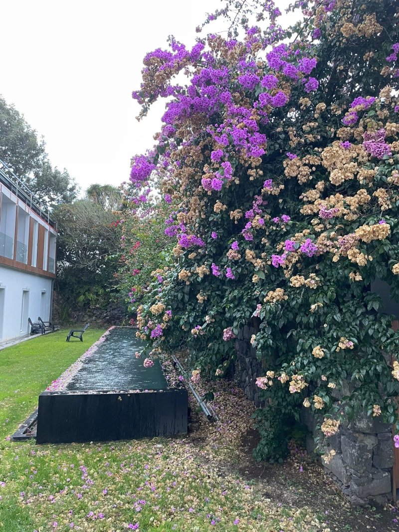 Senhora Da Rosa Tradition & Nature Hotel