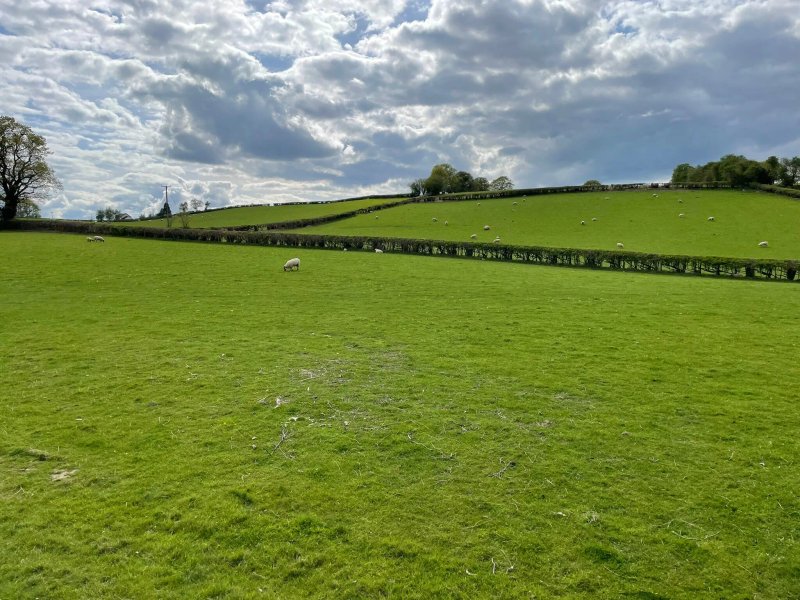 Pwllgwilym Holiday Cottages