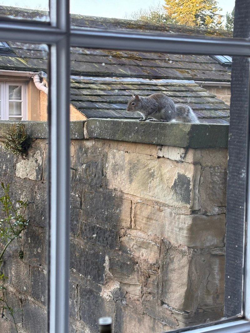 Harewood Holidays