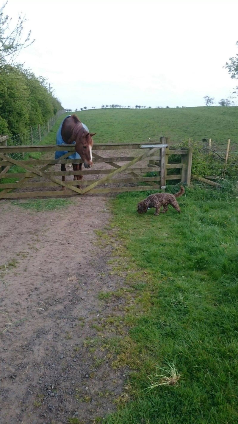 Southlands Farm Cottages
