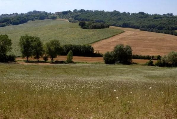 Agriturismo Santomanno