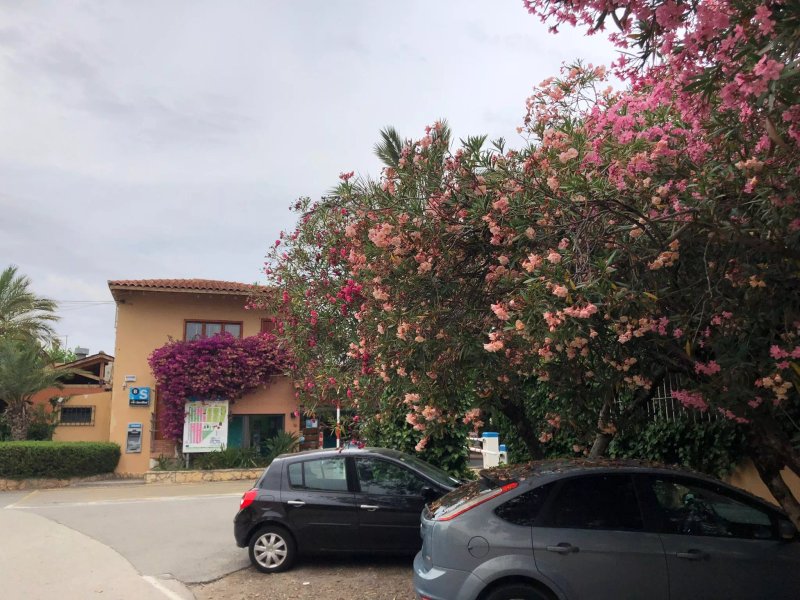 Port Eugeni