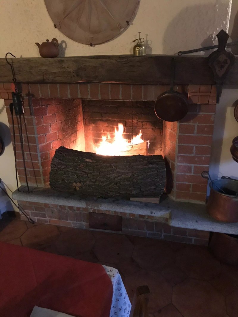 Le Camelie